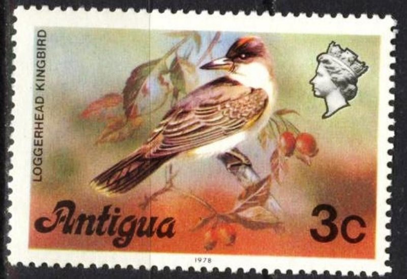 Antigua 1978 Birds Loggerhead Kingbird MNH**
