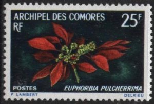 Comoro Islands 82 (mnh) 25fr poinsettia (Euphorbia pulcherrima) (1970)