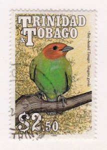 Trinidad & Tobago   516a     used    Topical     Birds