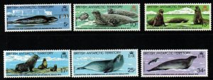 BRITISH ANTARCTIC TERR. SG113/8 1983 ANTARCTIC SEALS  MNH