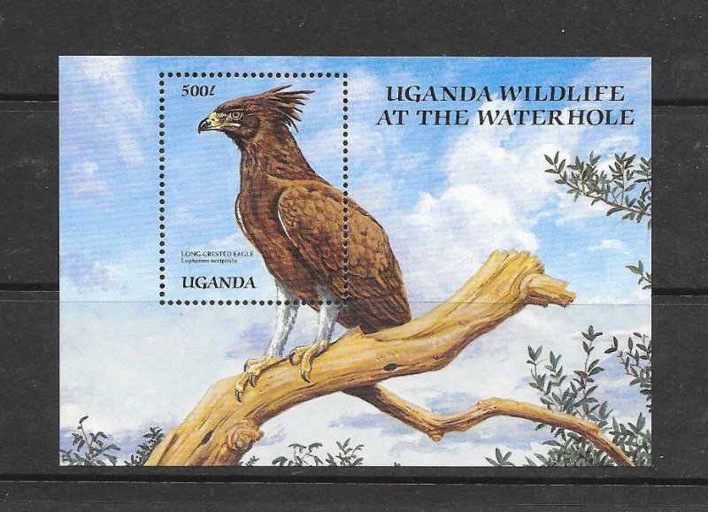 BIRDS- UGANDA #692  EAGLE  MNH