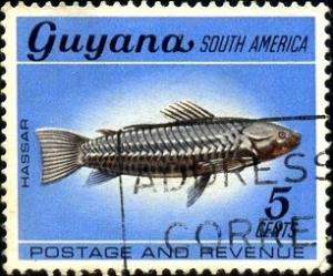 Fish, Katrina Kwikwi, Guyana stamp SC#42 used