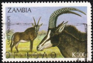 Zambia 577 - Used - 100k Sable Antelope (1992) (cv $3.75)