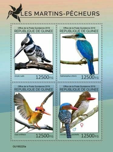 Z08 IMPERF GU190225a GUINEA (Guinee) 2019 Kingfishers MNH ** Postfrisch