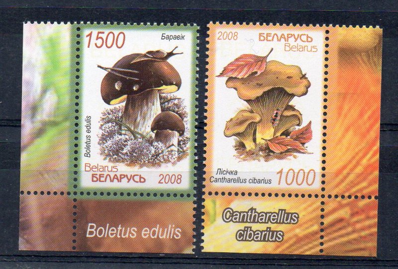 BELARUS - MUSHROOMS - 2008 -