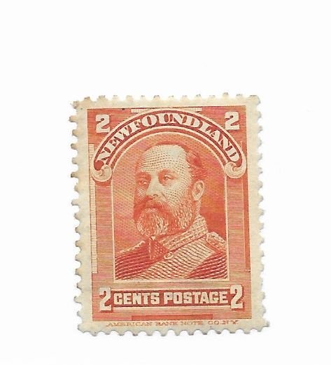 Newfoundland #81 MH VF - Stamp