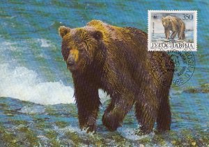 Yugoslavia 1988 Maxicard Sc #1883 350d Brown bear WWF