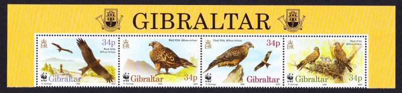 Gibraltar Birds WWF Red Kite Top strip of 4v with Territory Name 1996 MNH