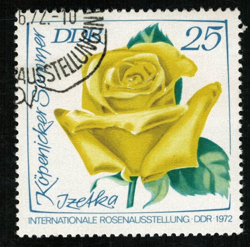 Rose, 25 Pf, DDR, flower (Т-6038)