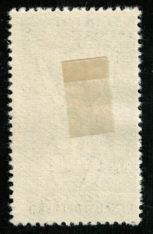 Animal Monkey (T-5187)