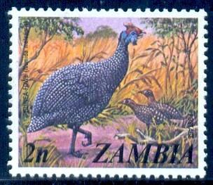 Bird, Guinea Fowl, Zambia stamp SC#136 used