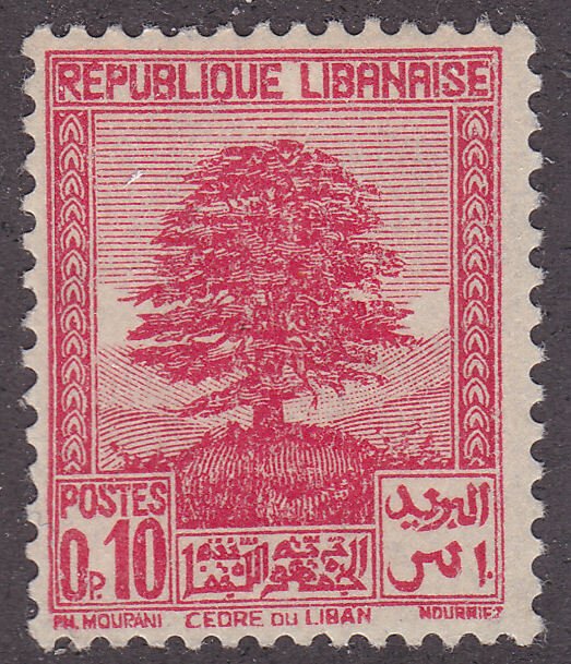 Lebanon 137 Cedar of Lebanon 1937