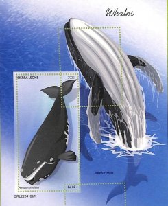 A9345 - SAW LION - MISPERF ERROR Stamp Sheet - 2022 - Whales, Marine Life-