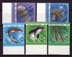 Russian & Soviet Union 5954-5958 MNH Marine Life Fish Dolphins ZAYIX 0624S0488