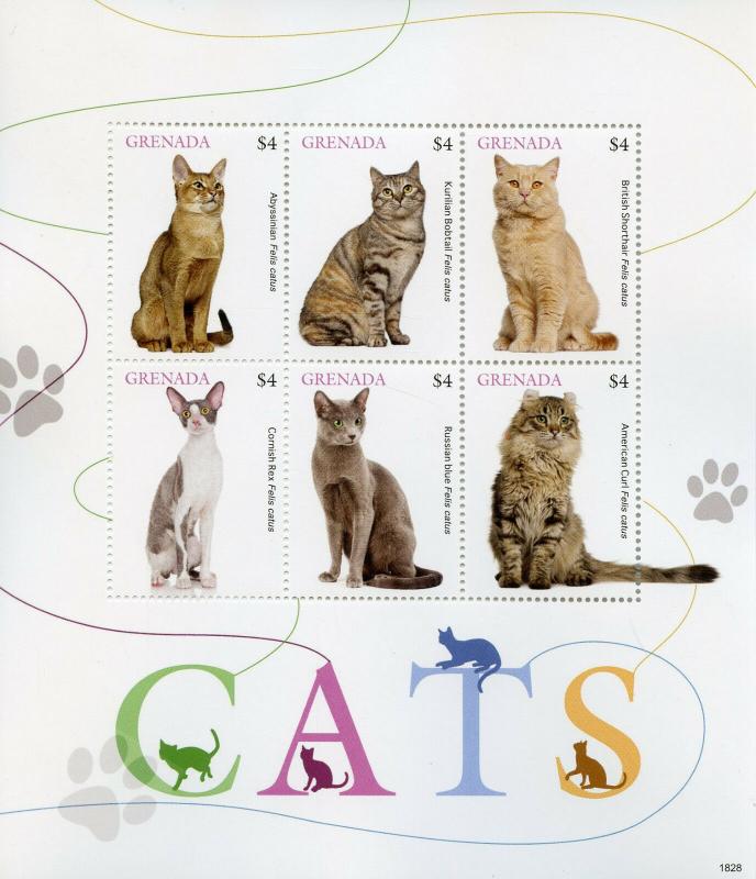 Grenada 2018 MNH Cats Bobtail American Curl Cornish Rex 6v M/S Animals Stamps