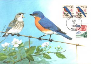 #2478 Eastern Bluebird Maxi FDC