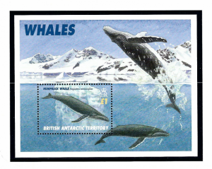 Brit Ant Terr 248 MNH 1996 Whales S/S