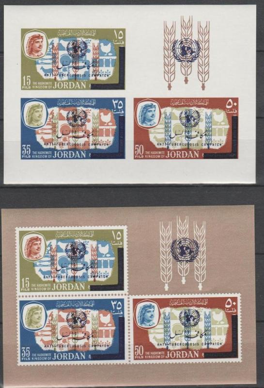 Jordan #529Bz Both Sheets  MNH F-VF CV $20.00 (ST1761L)