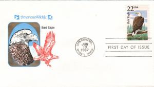 #2309 Bald Eagle Farnam FDC