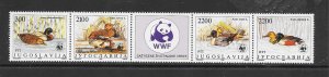 BIRDS - YUGOSLAVIA #1951 DUCKS WWF MNH