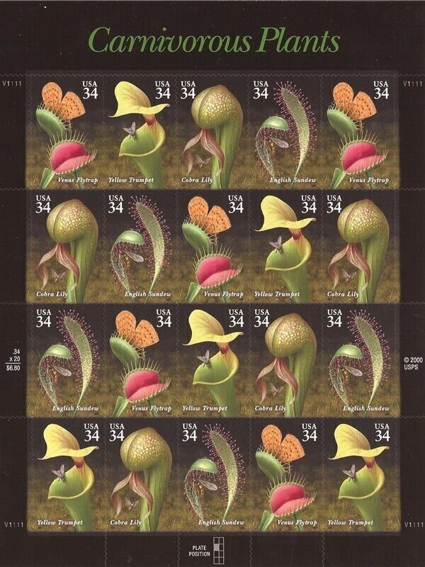 (S) USA Scott #3528-3531 Carnivorous Plants Sheet of 20 Stamps  MNH