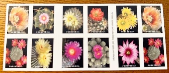 Cactus Flowers 2019, Discounted Forever Stamps