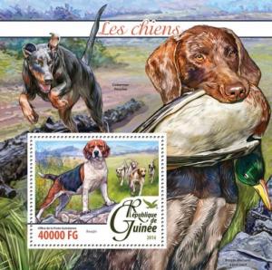 GUINEA 2016 SHEET DOGS