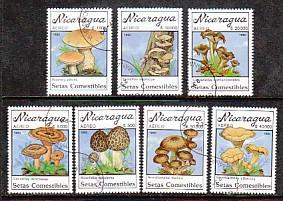 Nicaragua Mushrooms CTO VF NH