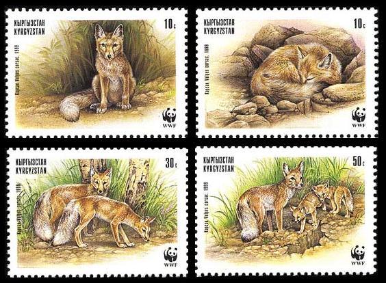 Kyrgyzstan WWF Corsac Fox 4v 1999 MNH SC#122 a-d SG#167-170 MI#168-171