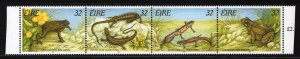 ZAYIX Ireland 982a MNH Reptiles & Amphibians Frogs Lizards Newts 092222SM85