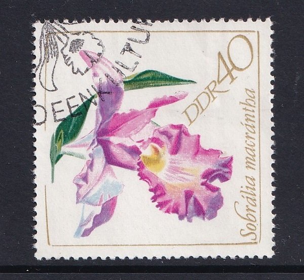 German Democratic Republic  #1061   used  1968  orchids  flowers  40pf