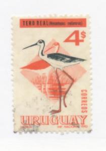 Uruguay 1967 Scott 754A used - Birds, Black tailed stilts