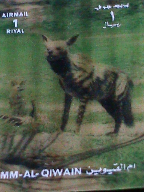 ​UMM AL QIWAIN STAMP-COLORFUL 3D STAMP-WOLF MINT STAMP- VERY FINE