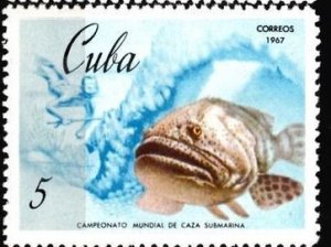 CUBA Sc# 1279 MARINE LIFE underwater fishing SPOTTED JEWFISH 5c  1967  MNH