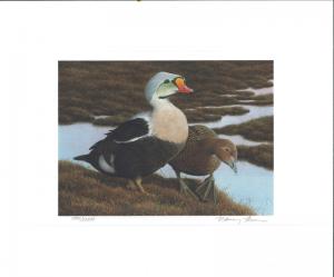 RW58 1991 FEDERAL DUCK STAMP PRINT KING EIDERS by Nancy Howe First Woman Winner 