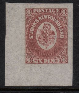 Newfoundland #20ii Never Hinged Superb Gem **With Certificate**