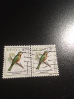 Kenya sc 604 u pair bird