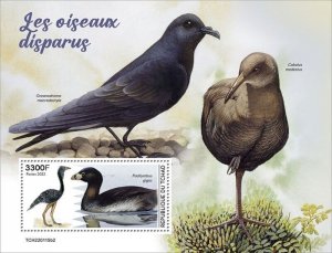 Chad - 2022 Extinct Birds, Atitlan Grebe - Stamp Souvenir Sheet - TCH220115b2