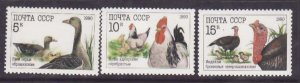 Russia-Sc#5909-11- id10-unused NH set-Birds-Poultry-1990-