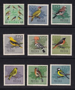 Poland  #1452-1460  MNH  1966 birds