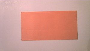 NICARAGUA POSTAL WRAPPER MINT ENTIRE