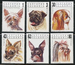 Bulgaria Scott 3635-40 MVFNHOG - 1991 Dogs Complete Set - SCV $4.65