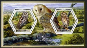 CHAD - 2014 - Owls - Perf 2v Sheet #2 - MNH - Private Issue