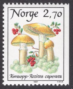 NORWAY SCOTT 885