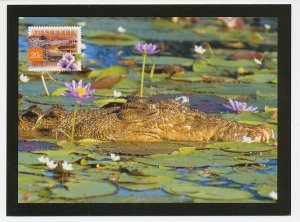 Postal stationery Australia Crocodile