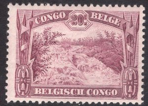 BELGIAN CONGO SCOTT 141