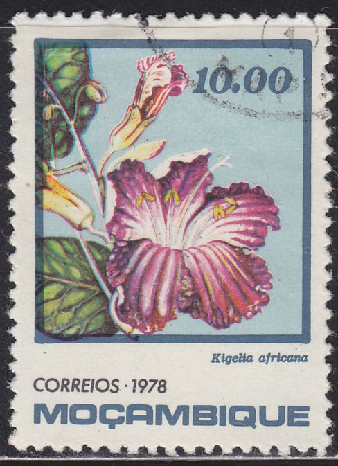 Mozambique 597 Kigelia Africana 1978