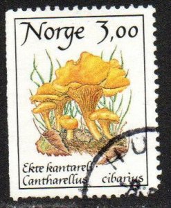 Norway Sc #888 Used