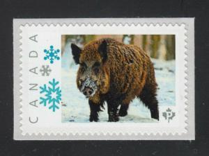 WILD BOAR, WILD LIFE ANIMALS Canada Picture Postage stamp  p72WL10/3