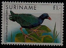 Suriname 725 MNH Birds/Fowl SCV1.75